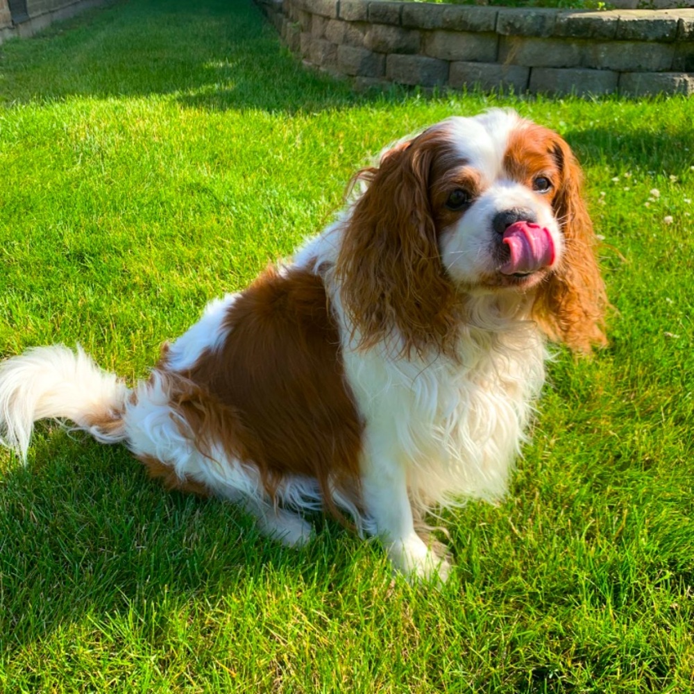 Meet your Posher, Jocelyn